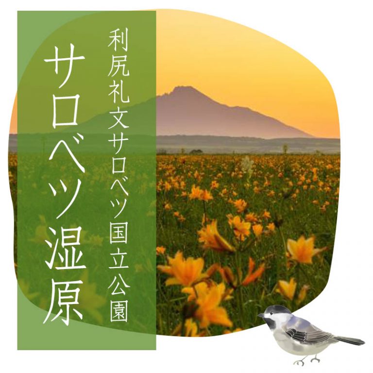 ホーム 北海道豊富町観光協会