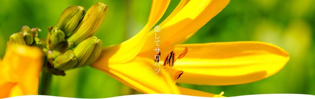 ホーム 北海道豊富町観光協会